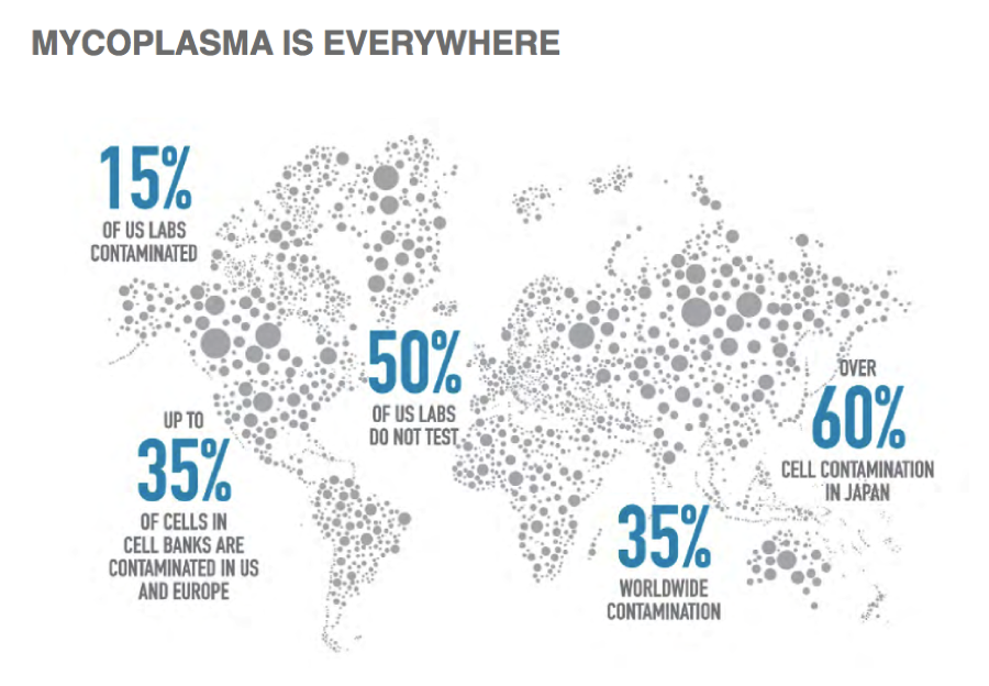 https://cellculturedish.com/cell-culture-basics-mycoplasma-101-a-practical-guide-to-prevention-detection-and-elimination-of-mycoplasma-contamination/