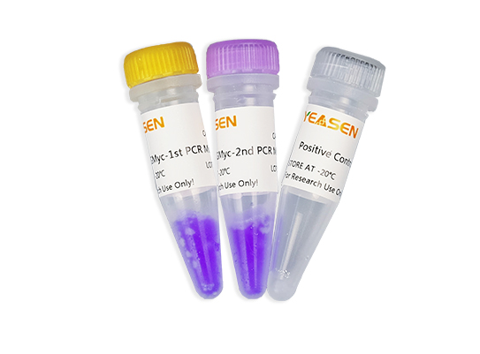 https://www.yeasen.com/products/detail/976