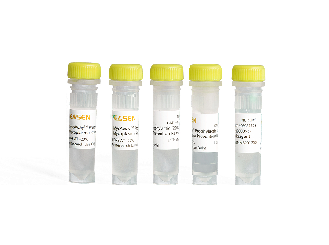https://www.yeasen.com/products/detail/979