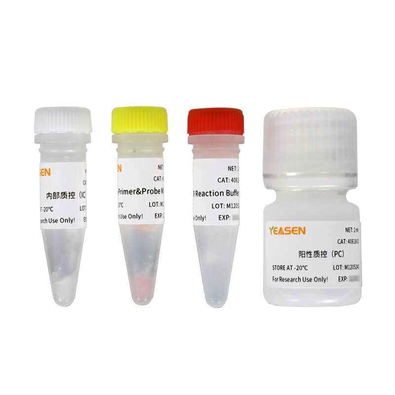 https://www.yeasen.com/products/detail/1927
