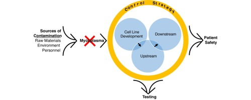 https://www.sciencedirect.com/science/article/abs/pii/S2211339818300224