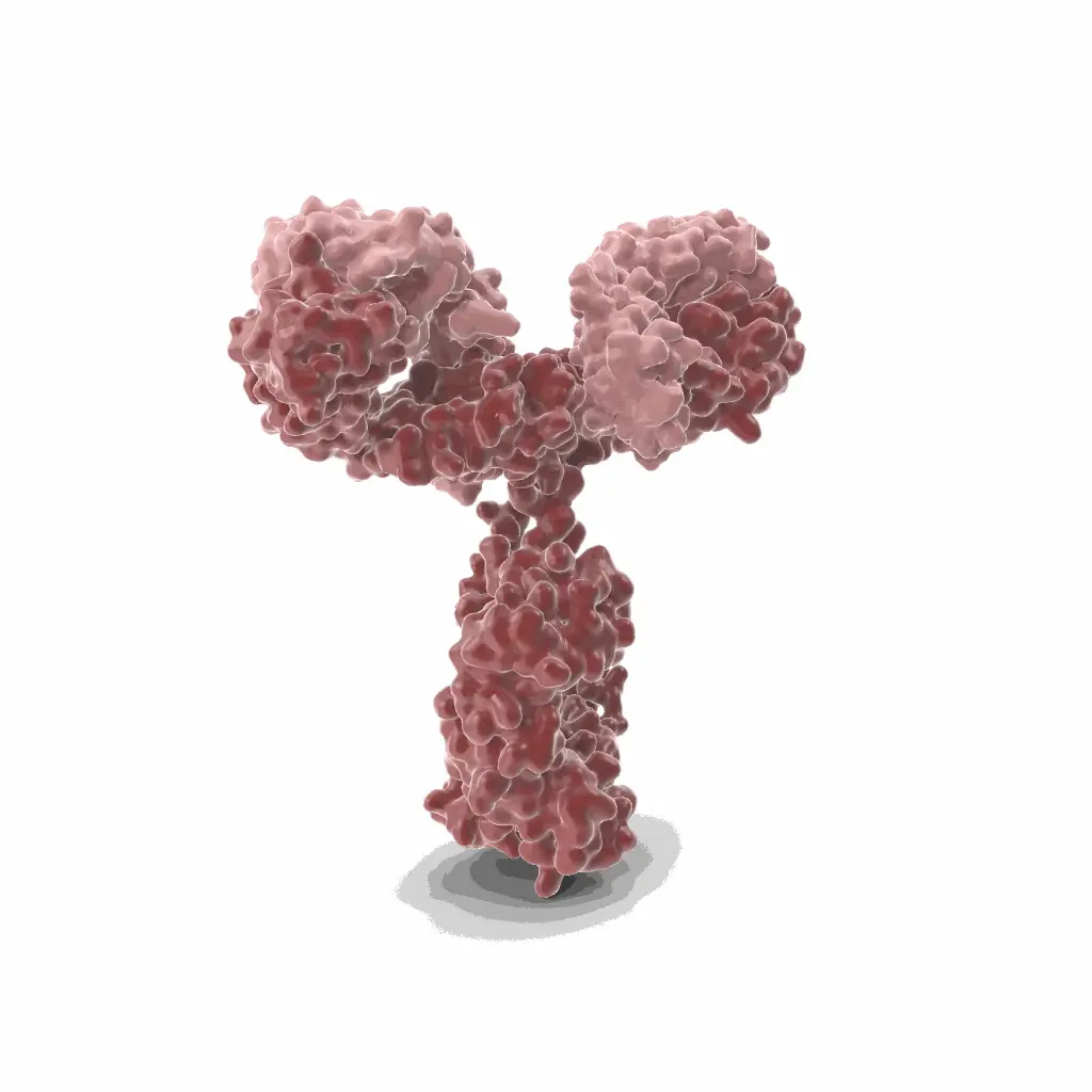 Gentaur Pacific Blue Monoclonal Antibody